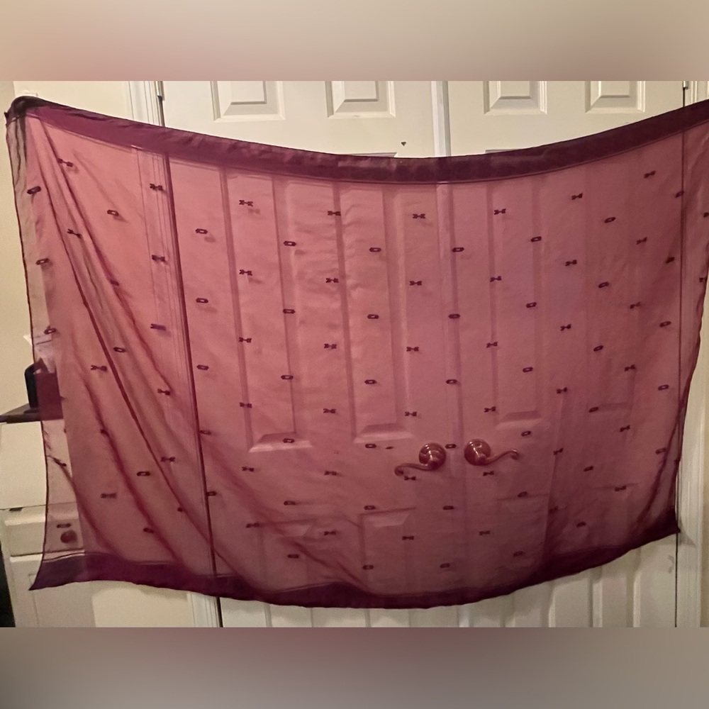 Elegant Sheer Cranberry Colored Scarf